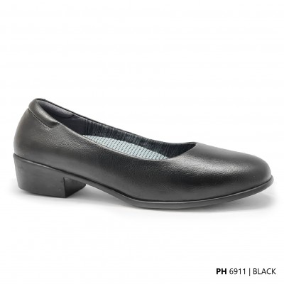 D11 Model PH 6911      
