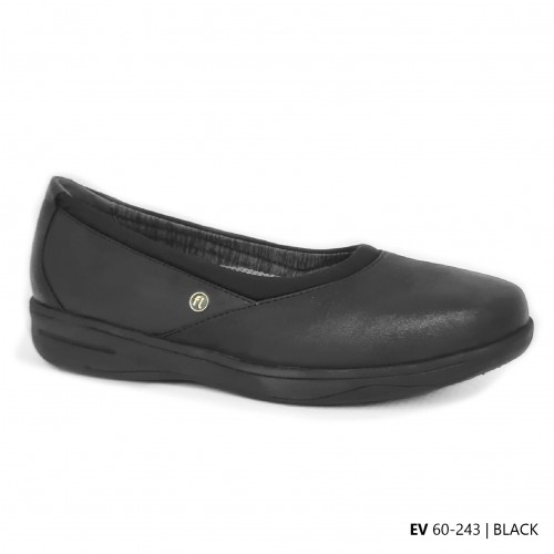 D243 Model  EV 60-243 