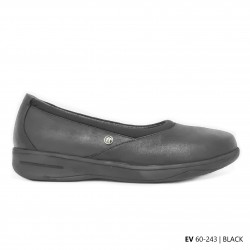 D243 Model  EV 60-243 