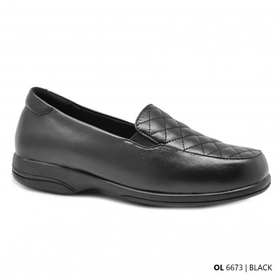 D73 Model OL 6673       