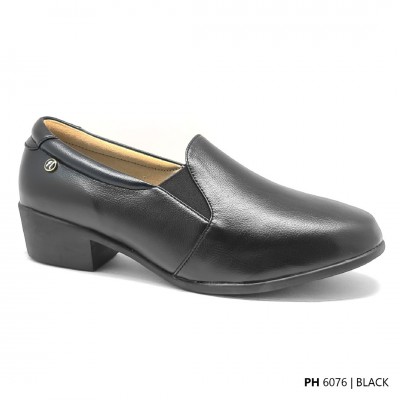 D76 Model PH 6076    