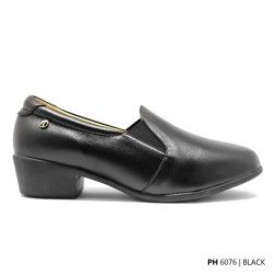 D76 Model PH 6076    