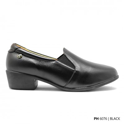 D76 Model PH 6076    