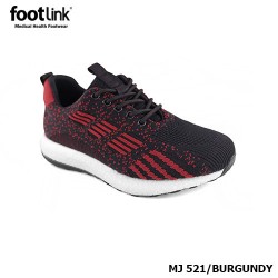 D21   Model MJ 521        